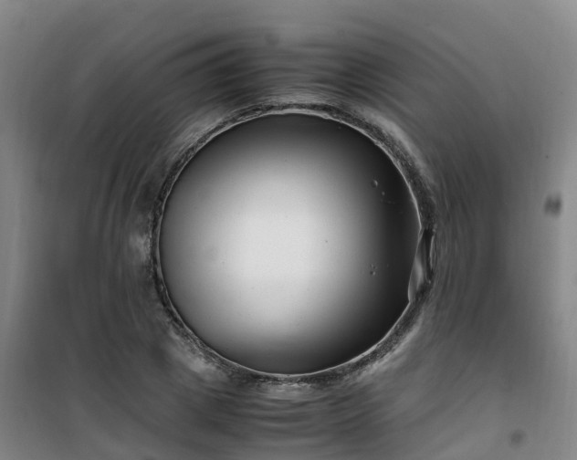 X0000101170833200807111050