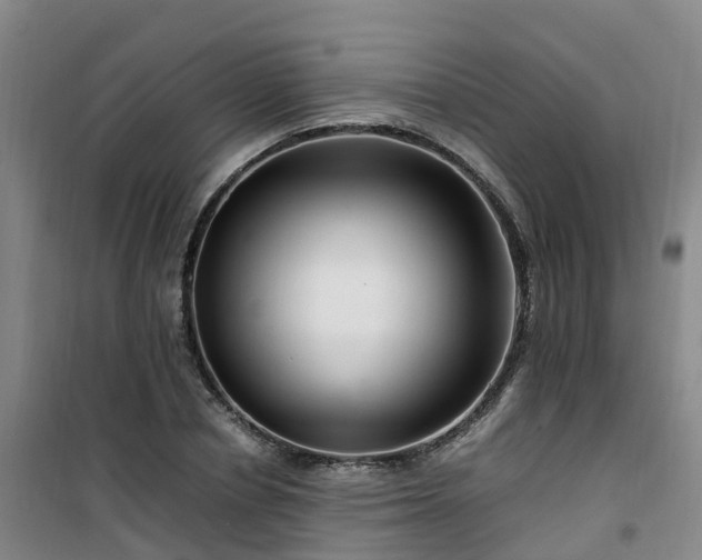 X0000101170834200807111050