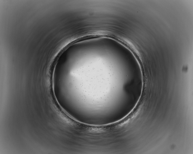 X0000101170835200807111050
