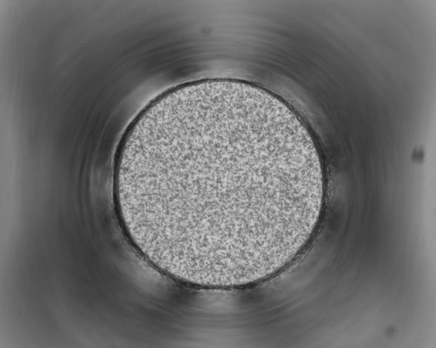 X0000101170836200807111050
