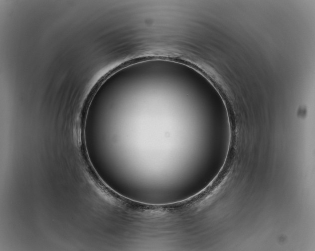 X0000101170838200807111050
