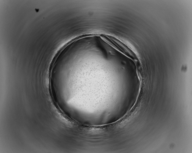 X0000101170839200807111050