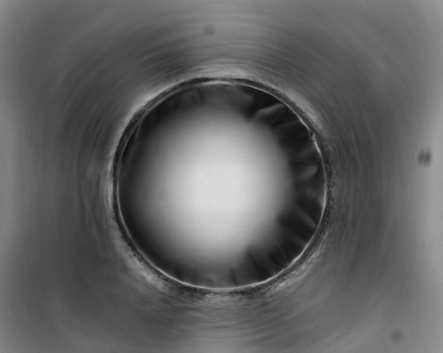 X0000101170840200807111050