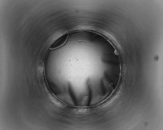 X0000101170841200807111050