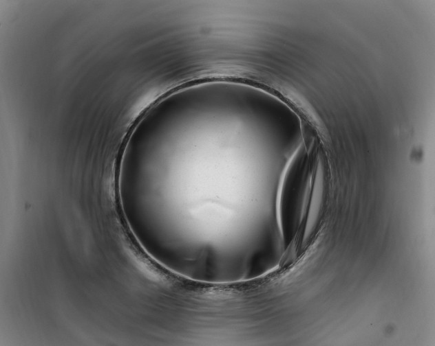 X0000101170842200807111050
