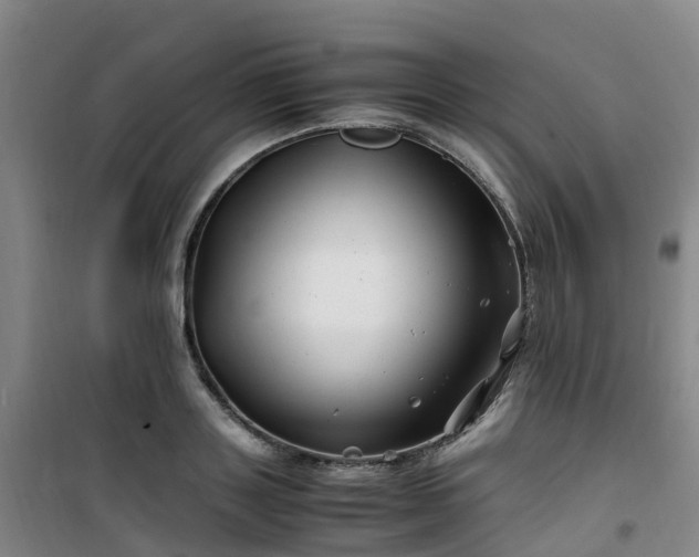 X0000101170843200807111050