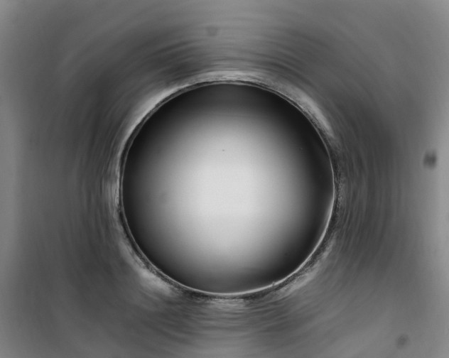 X0000101170844200807111050
