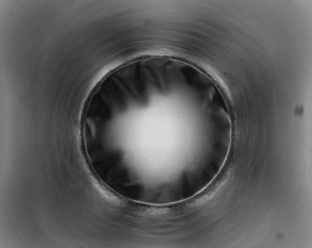 X0000101170845200807111050