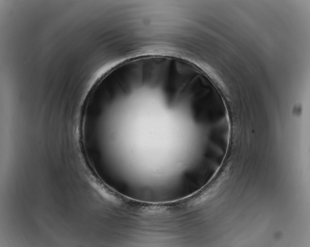 X0000101170846200807111050