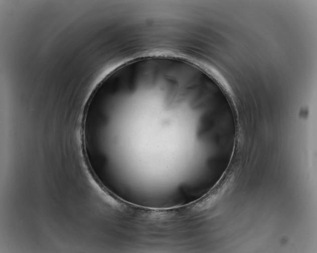 X0000101170847200807111050