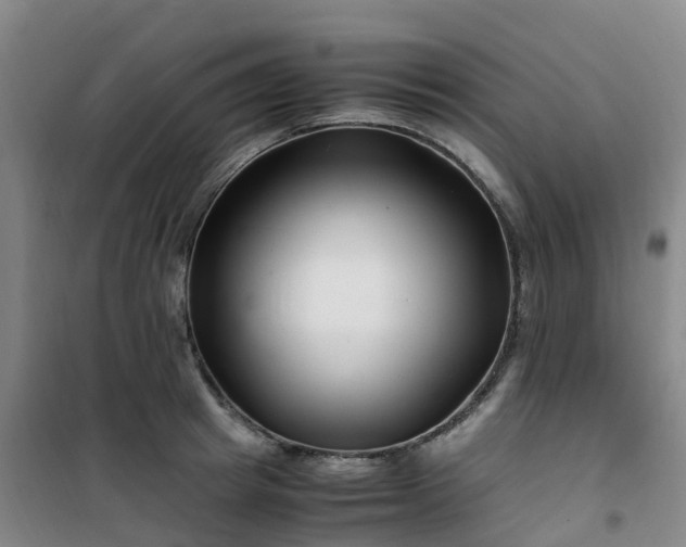 X0000101170849200807111050