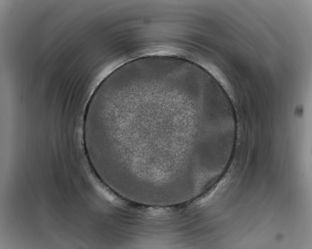 X0000101170850200807111050