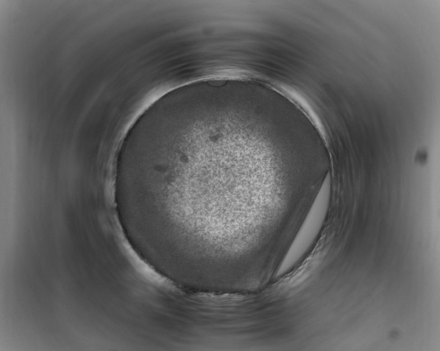 X0000101170851200807111050