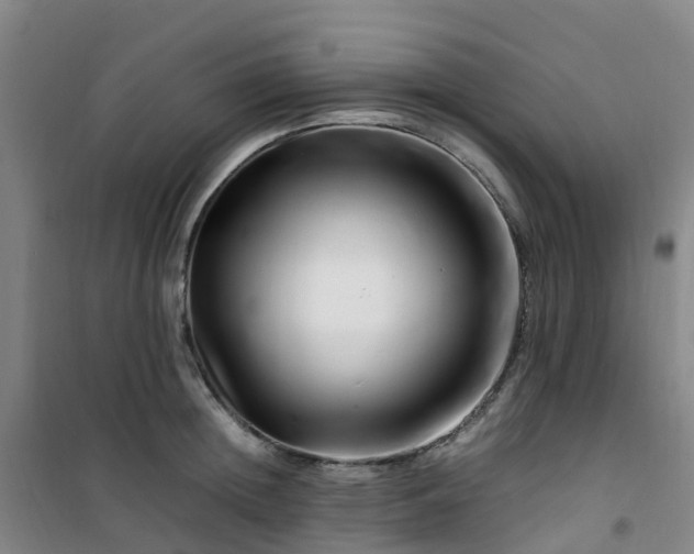 X0000101170852200807111050