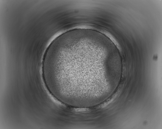 X0000101170853200807111050