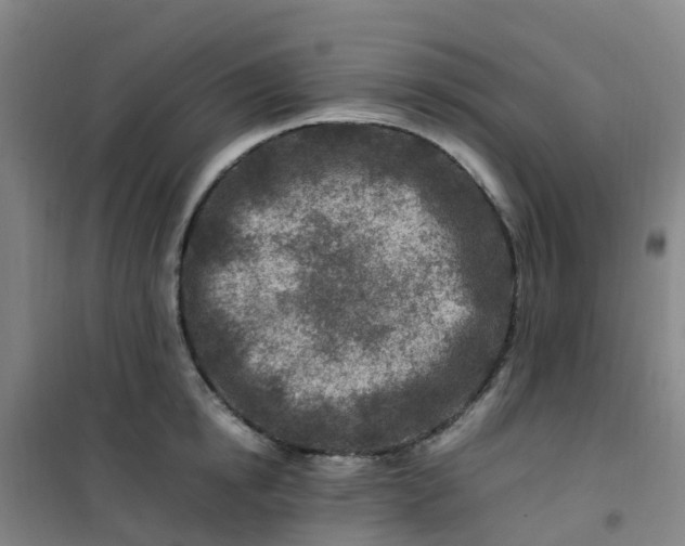 X0000101170854200807111050