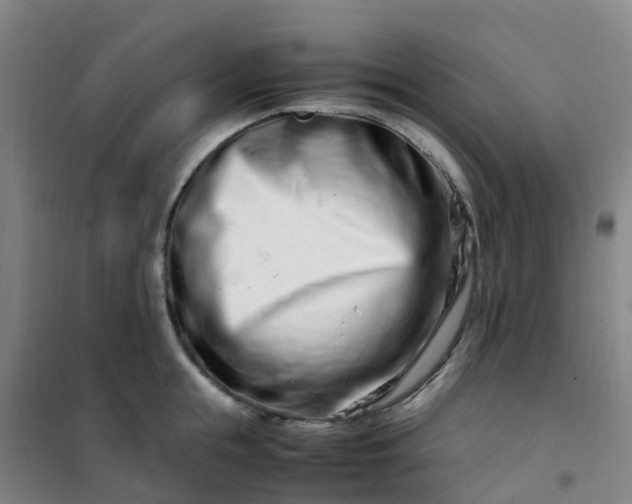 X0000101170855200807111050