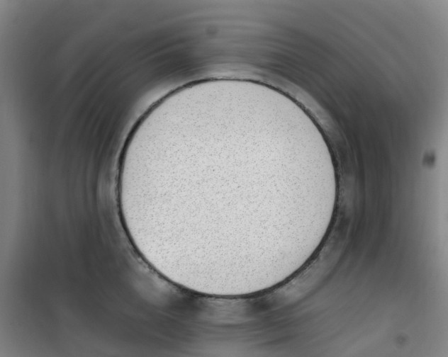 X0000101170856200807111050