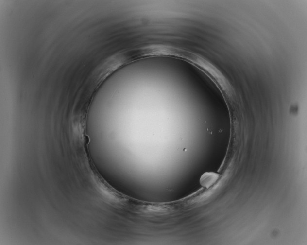 X0000101170857200807111050
