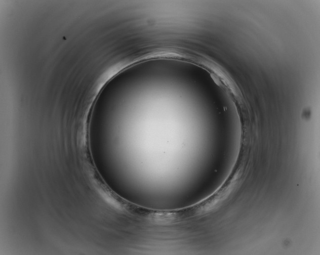 X0000101170858200807111050