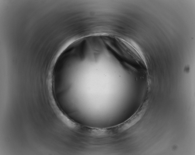 X0000101170859200807111050