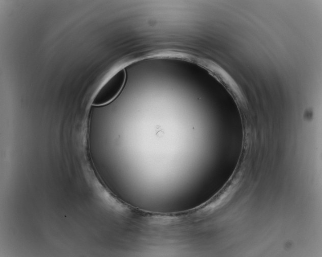 X0000101170860200807111050