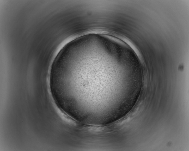 X0000101170861200807111050