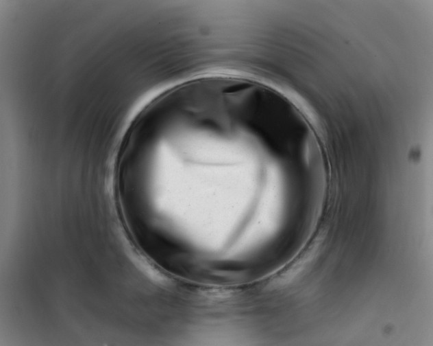 X0000101170862200807111050