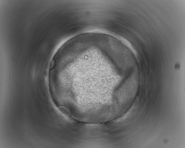 X0000101170863200807111050