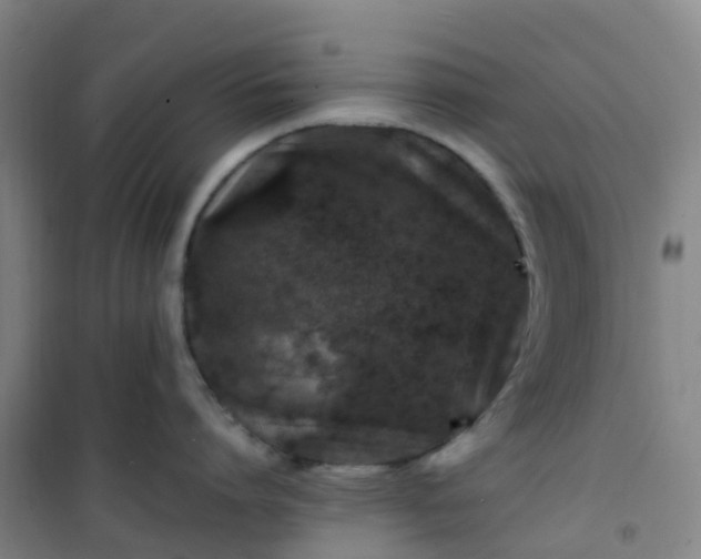 X0000101170864200807111050