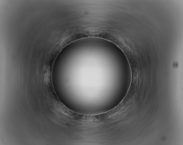 X0000101170866200807111050