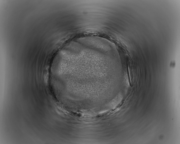 X0000101170868200807111050