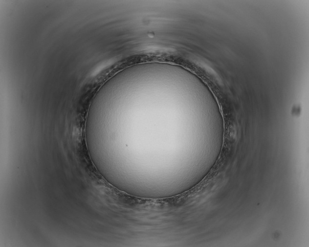 X0000101170869200807111050