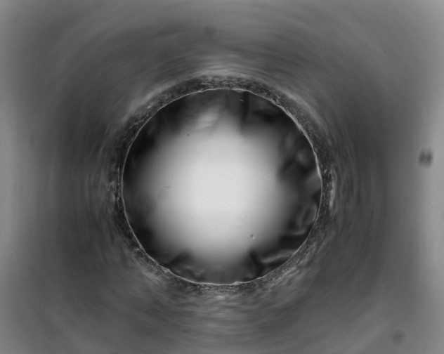 X0000101170870200807111050
