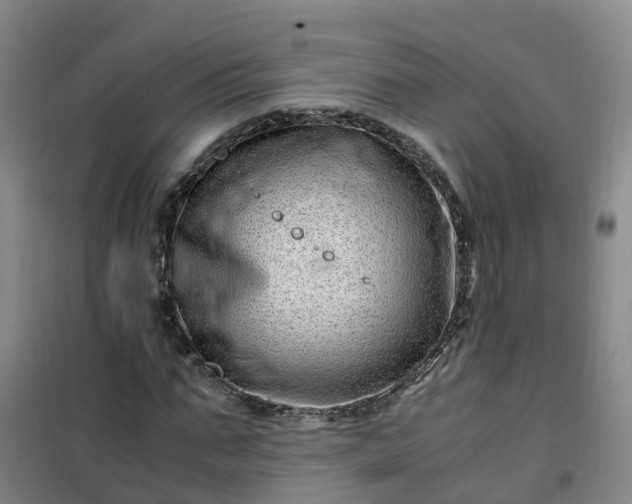 X0000101170871200807111050