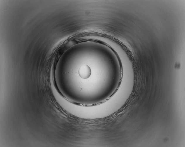 X0000101170872200807111050