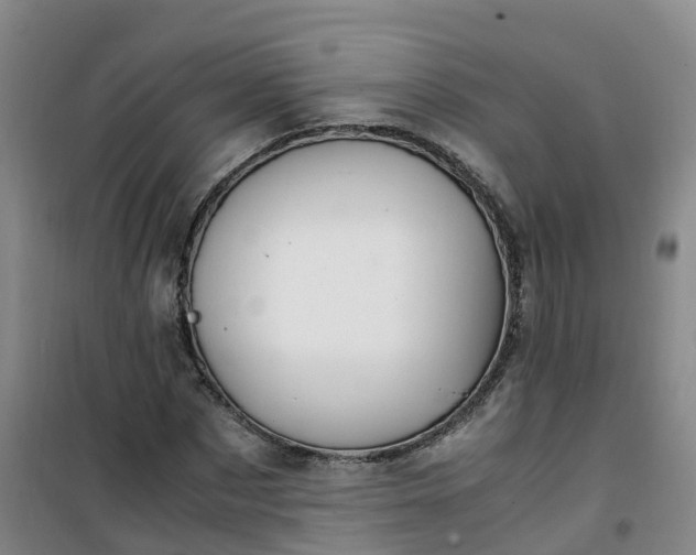 X0000101170873200807111049