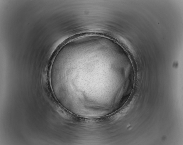 X0000101170875200807111049