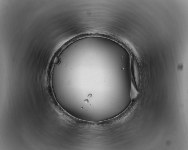 X0000101170876200807111049
