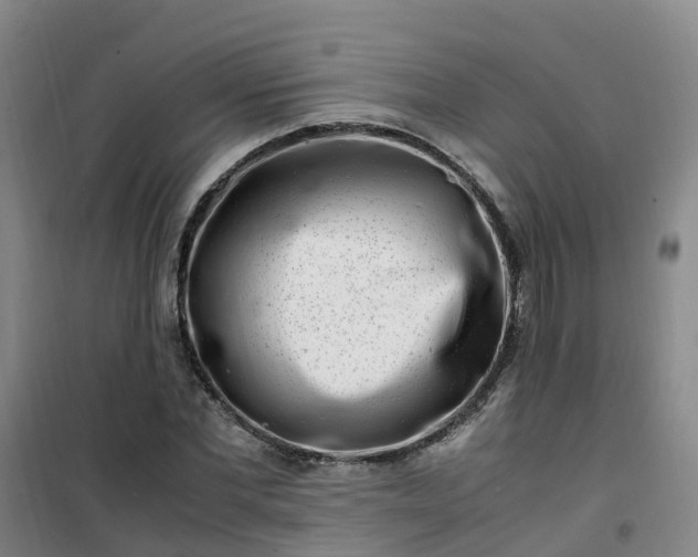 X0000101170877200807111049