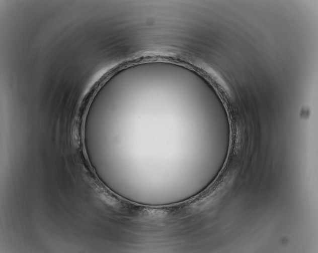 X0000101170878200807111049