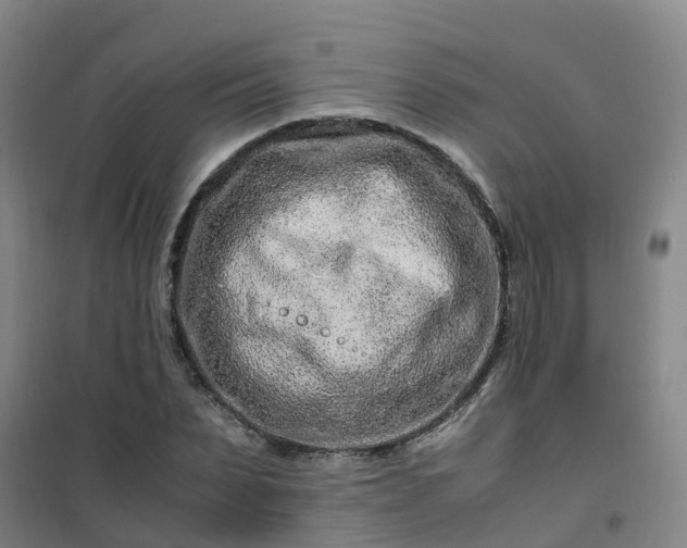 X0000101170879200807111049