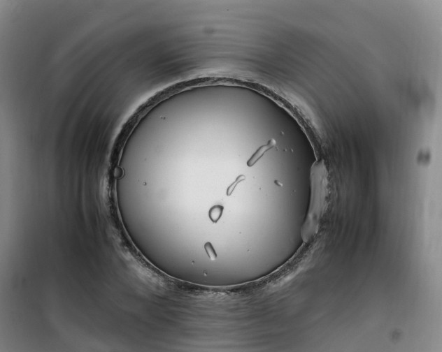 X0000101170880200807111049