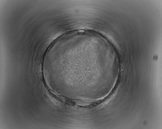 X0000101170881200807111049