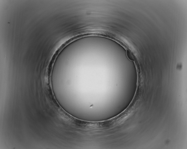 X0000101170883200807111049