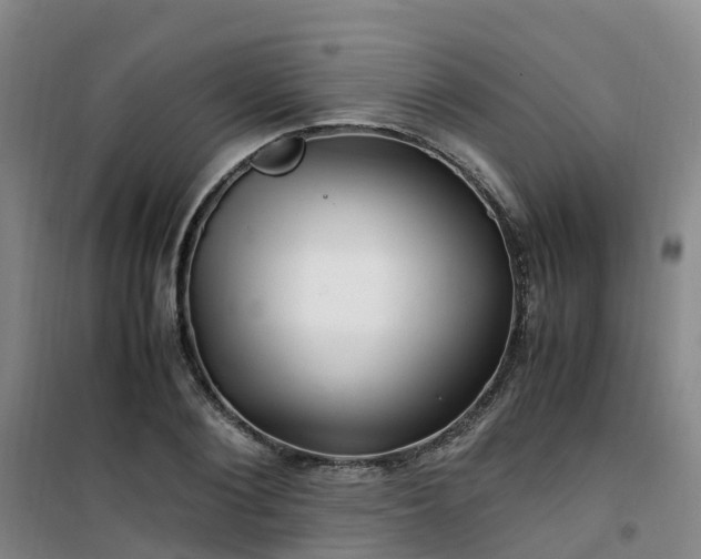 X0000101170884200807111049