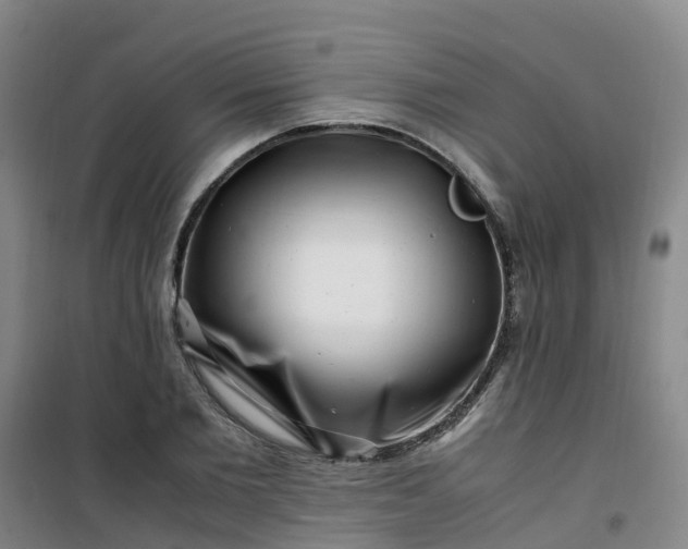 X0000101170885200807111049