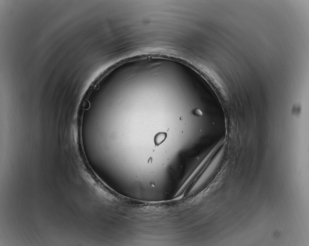 X0000101170888200807111049