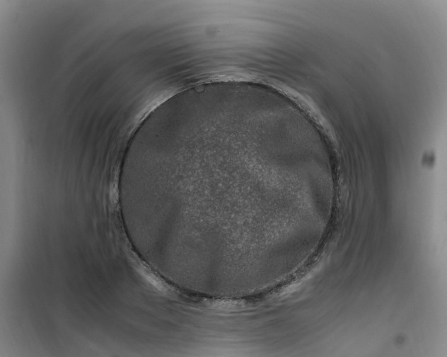 X0000101170889200807111049