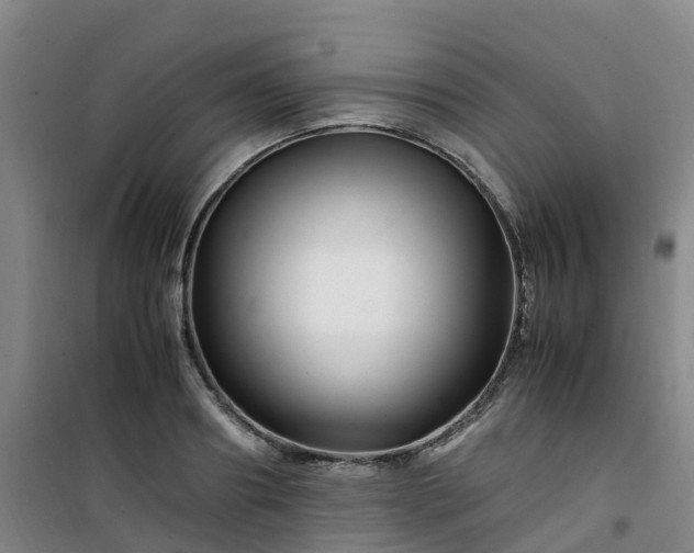 X0000101170890200807111049
